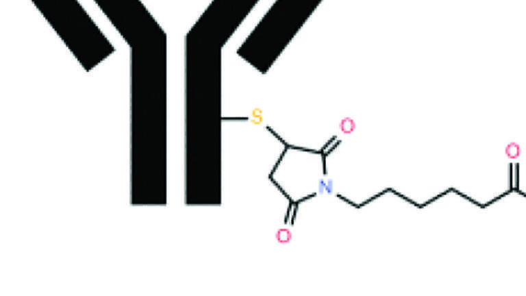 Accelerating ADC Development with Mass Spectrometry